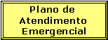 Plano de Atendimento Emergencial